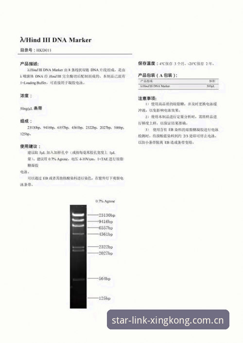 雷吉亚纳引援深度评测：从德里克·奥格贝德看星空体育平台意甲战术新变量